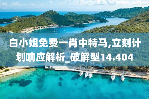 白小姐免費(fèi)一肖中特馬,立刻計(jì)劃響應(yīng)解析_破解型14.404