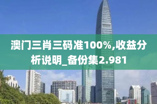 澳門三肖三碼準100%,收益分析說明_備份集2.981