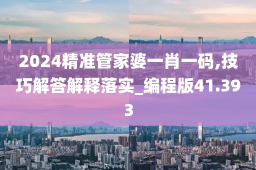 2024精準(zhǔn)管家婆一肖一碼,技巧解答解釋落實(shí)_編程版41.393