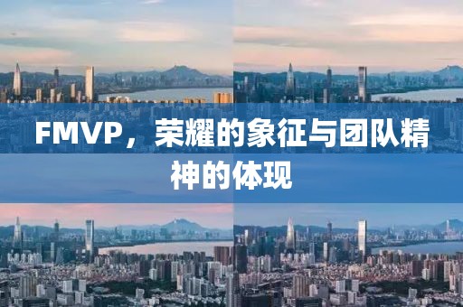 FMVP，榮耀的象征與團(tuán)隊(duì)精神的體現(xiàn)