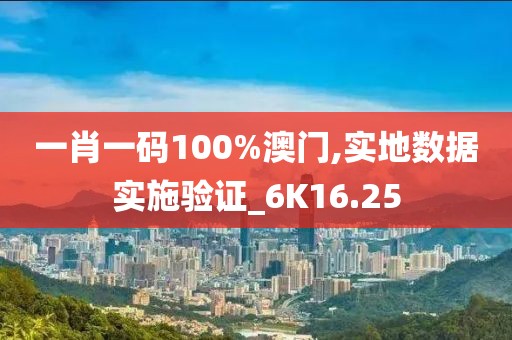 一肖一碼100%澳門,實地數(shù)據(jù)實施驗證_6K16.25