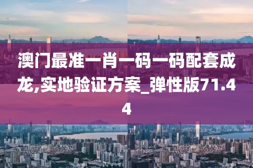 澳門最準(zhǔn)一肖一碼一碼配套成龍,實(shí)地驗(yàn)證方案_彈性版71.44