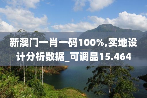 新澳門一肖一碼100%,實(shí)地設(shè)計(jì)分析數(shù)據(jù)_可調(diào)品15.464
