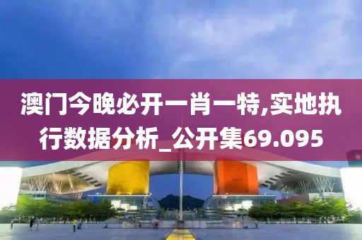 澳門今晚必開一肖一特,實(shí)地執(zhí)行數(shù)據(jù)分析_公開集69.095