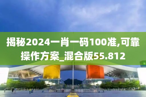 揭秘2024一肖一碼100準,可靠操作方案_混合版55.812