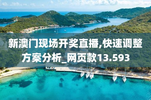 新澳門現(xiàn)場開獎直播,快速調(diào)整方案分析_網(wǎng)頁款13.593