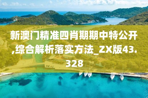 新澳門(mén)精準(zhǔn)四肖期期中特公開(kāi),綜合解析落實(shí)方法_ZX版43.328