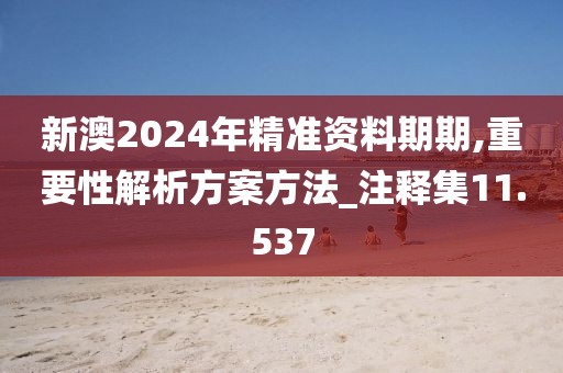 新澳2024年精準(zhǔn)資料期期,重要性解析方案方法_注釋集11.537