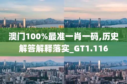 澳門100%最準(zhǔn)一肖一碼,歷史解答解釋落實(shí)_GT1.116