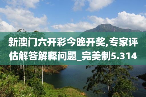 新澳門六開彩今晚開獎(jiǎng),專家評(píng)估解答解釋問題_完美制5.314