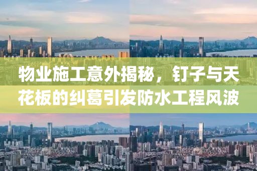 物業(yè)施工意外揭秘，釘子與天花板的糾葛引發(fā)防水工程風(fēng)波