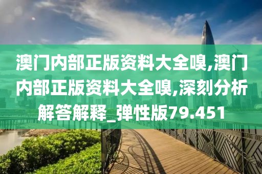 澳門內部正版資料大全嗅,澳門內部正版資料大全嗅,深刻分析解答解釋_彈性版79.451