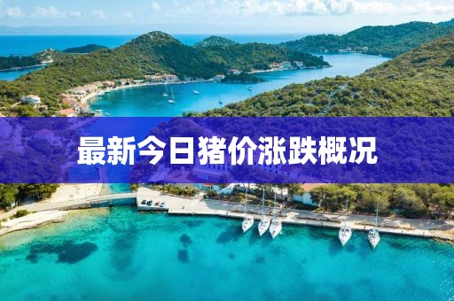 最新今日豬價(jià)漲跌概況