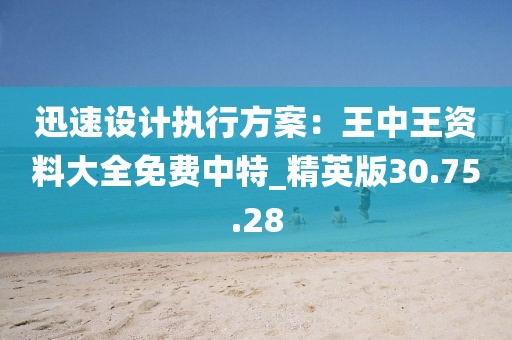 迅速設計執(zhí)行方案：王中王資料大全免費中特_精英版30.75.28