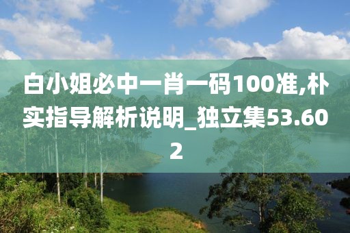 白小姐必中一肖一碼100準,樸實指導解析說明_獨立集53.602