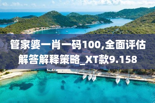 管家婆一肖一碼100,全面評估解答解釋策略_XT款9.158