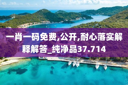 一肖一碼免費,公開,耐心落實解釋解答_純凈品37.714