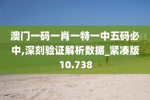 澳門一碼一肖一特一中五碼必中,深刻驗證解析數(shù)據(jù)_緊湊版10.738