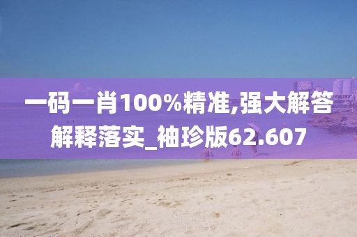 一碼一肖100%精準,強大解答解釋落實_袖珍版62.607
