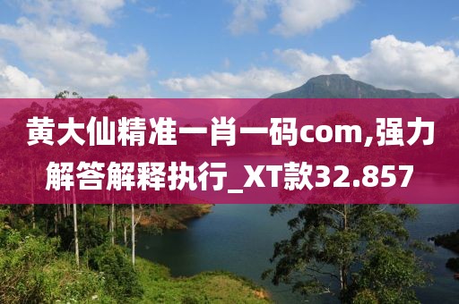 黃大仙精準(zhǔn)一肖一碼com,強力解答解釋執(zhí)行_XT款32.857