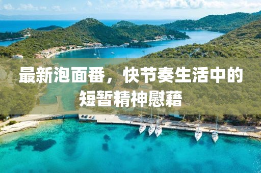 最新泡面番，快節(jié)奏生活中的短暫精神慰藉