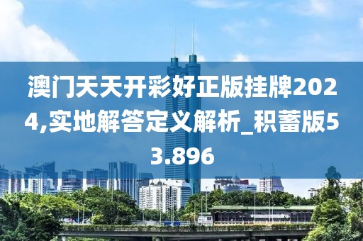 澳門天天開彩好正版掛牌2024,實地解答定義解析_積蓄版53.896