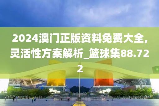 2024澳門正版資料免費大全,靈活性方案解析_籃球集88.722