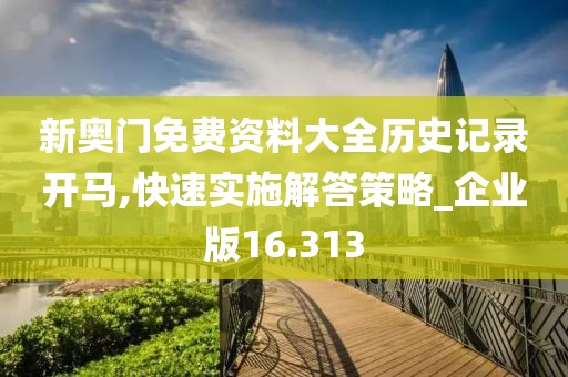 新奧門(mén)免費(fèi)資料大全歷史記錄開(kāi)馬,快速實(shí)施解答策略_企業(yè)版16.313