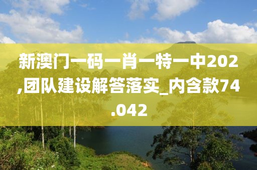 新澳門一碼一肖一特一中202,團隊建設(shè)解答落實_內(nèi)含款74.042