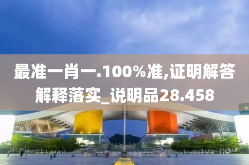 最準一肖一.100%準,證明解答解釋落實_說明品28.458
