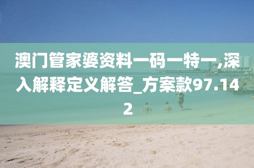 澳門管家婆資料一碼一特一,深入解釋定義解答_方案款97.142
