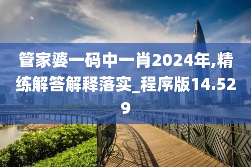 管家婆一碼中一肖2024年,精練解答解釋落實_程序版14.529