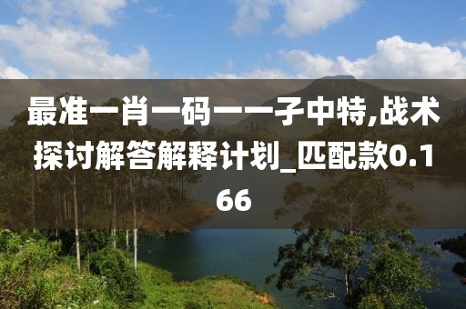 最準一肖一碼一一孑中特,戰(zhàn)術(shù)探討解答解釋計劃_匹配款0.166
