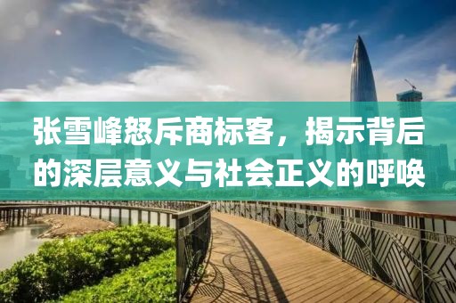 張雪峰怒斥商標(biāo)客，揭示背后的深層意義與社會(huì)正義的呼喚