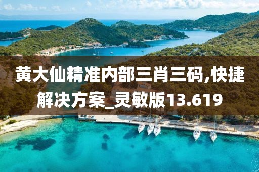 黃大仙精準(zhǔn)內(nèi)部三肖三碼,快捷解決方案_靈敏版13.619