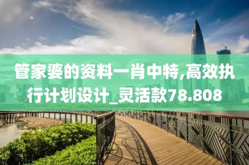 管家婆的資料一肖中特,高效執(zhí)行計(jì)劃設(shè)計(jì)_靈活款78.808