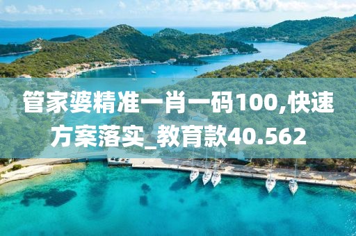 管家婆精準一肖一碼100,快速方案落實_教育款40.562