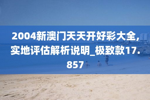 2004新澳門天天開好彩大全,實地評估解析說明_極致款17.857