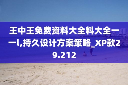 王中王免費資料大全料大全一一l,持久設(shè)計方案策略_XP款29.212