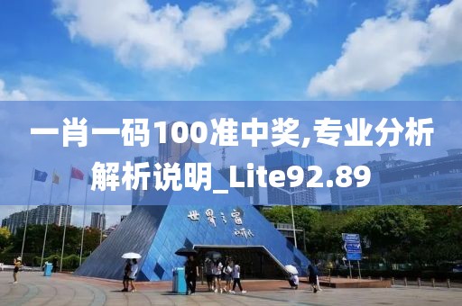 一肖一碼100準中獎,專業(yè)分析解析說明_Lite92.89