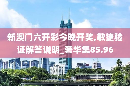 新澳門六開彩今晚開獎,敏捷驗證解答說明_奢華集85.96