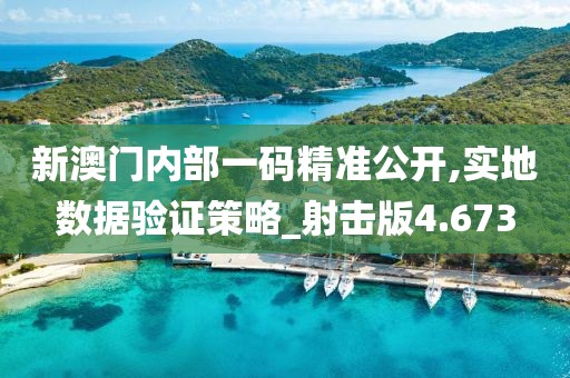 新澳門內(nèi)部一碼精準(zhǔn)公開,實地數(shù)據(jù)驗證策略_射擊版4.673