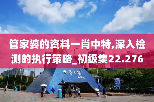 管家婆的資料一肖中特,深入檢測的執(zhí)行策略_初級集22.276