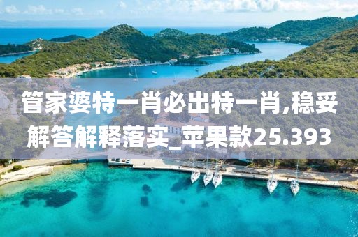 管家婆特一肖必出特一肖,穩(wěn)妥解答解釋落實_蘋果款25.393