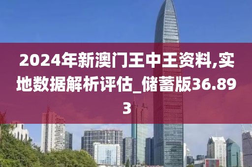 2024年新澳門王中王資料,實地數(shù)據(jù)解析評估_儲蓄版36.893