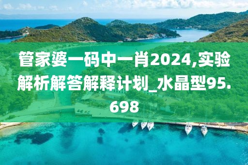 管家婆一碼中一肖2024,實(shí)驗(yàn)解析解答解釋計(jì)劃_水晶型95.698