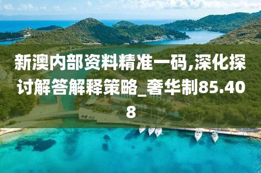 新澳內(nèi)部資料精準(zhǔn)一碼,深化探討解答解釋策略_奢華制85.408