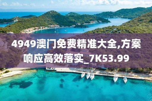 4949澳門免費(fèi)精準(zhǔn)大全,方案響應(yīng)高效落實(shí)_7K53.99