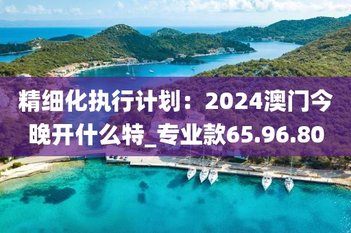 精細(xì)化執(zhí)行計(jì)劃：2024澳門(mén)今晚開(kāi)什么特_專業(yè)款65.96.80