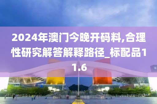 2024年澳門今晚開碼料,合理性研究解答解釋路徑_標(biāo)配品11.6